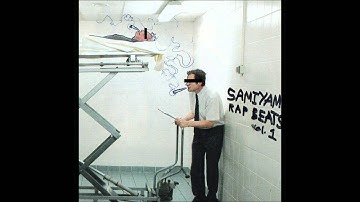 Samiyam - Flying Slap