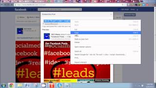 How to Embed a Facebook Album in Wordpress screenshot 5