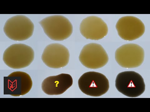 Which Motorcycle Manufacturer is Best? [Laboratory Test]