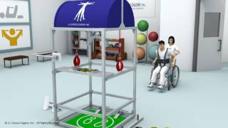 IH GAIT MINI CLINIC