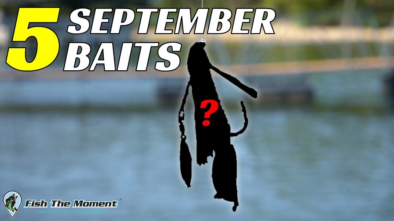 Top 5 Baits For September Bass Fishing! 