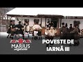 Marius Zgâianu - POVESTE DE IARNĂ,  Partea 3: DE SFÂNTUL VASILE...