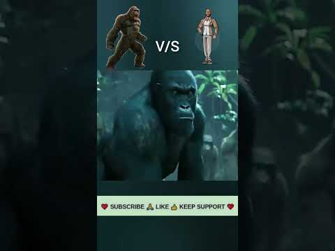 Who Will Win in a Fight to the Death: Gorilla or Man? #shorts