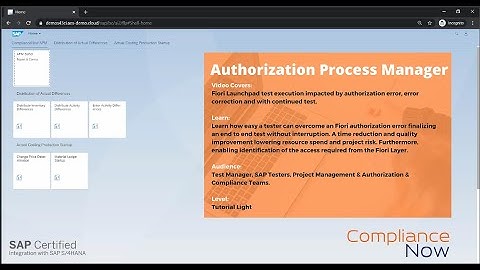 (EN) Authorization Process Manager - SU53 & Fiori Testing