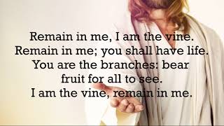 Video thumbnail of "Remain in Me I am the Vine by Steve Angrisano"