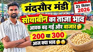 21 सितंबर 2026 मंदसौर मंडी सोयाबीन भाव ! Mandsaur Mandi bhav 🔥 अलसी के भाव  #mandibhav  screenshot 4