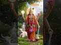 Om jai Jagadish hare #vishnu #narayan #devotional #god #video #short #song #viral #trending #yt