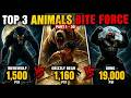 Wolverine Vs Grizzly bear Vs King Kong Bite Force vs Human 😳#biteforce #educationalvideo #shorts
