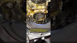 Wet Timing Belt in Small Engines: Genius or Disaster? #truck #engineblock #engine #parts #autorepair