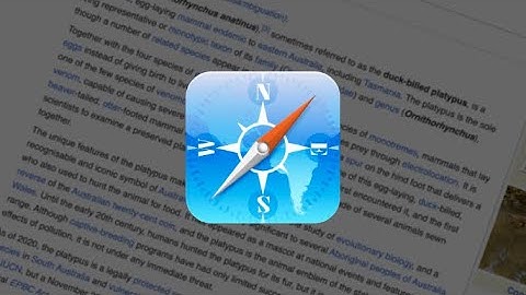 How to fix network issues on iOS 6!