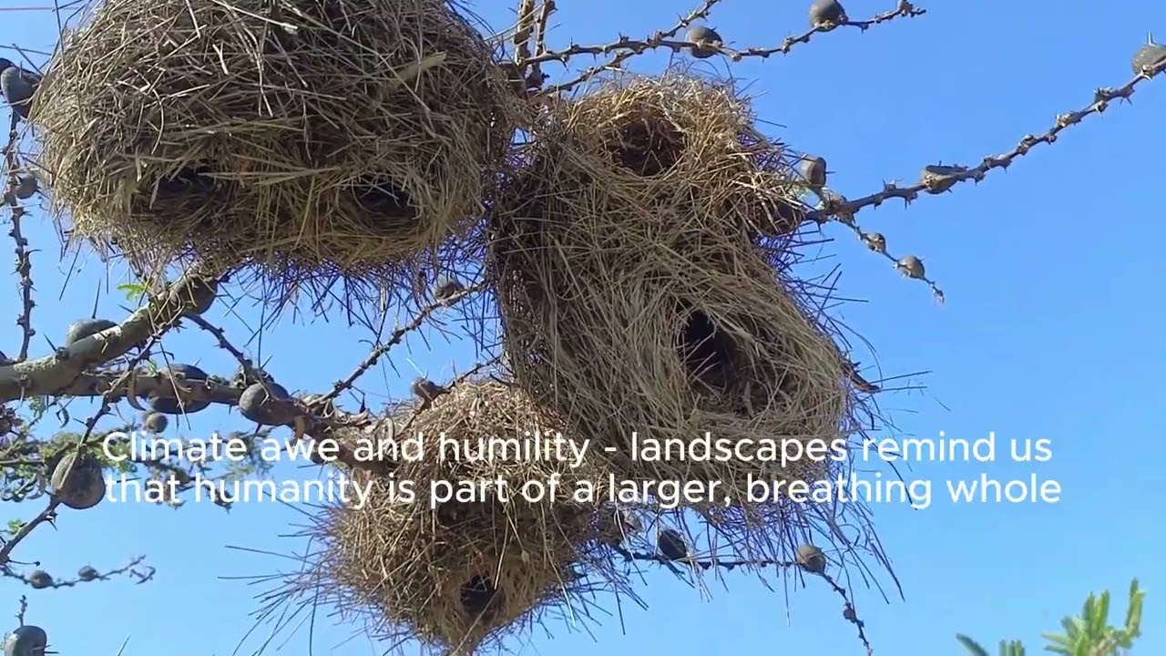 Nature Quest 2026 #naturetrail #stressrelief #relaxation #healingvibes