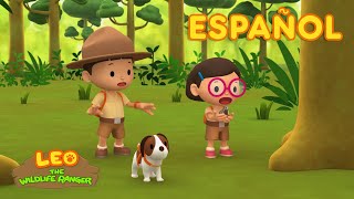El Colugo Malayo (Español) - Leo, El Explorador Episodio | Animación - Familia - Niños