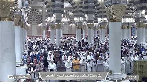 ۞خواتيم سورة التحريم  | عشاء ألاثنين 6 ربيع الأول 1446هـ لــ الشيخ عبدالمحسن القاسم