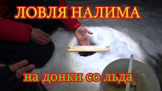 Поставушки на Налима со льда. Рыбалка на Каме с приятелем #рыбалка #налим #донки #всегданарыбалке