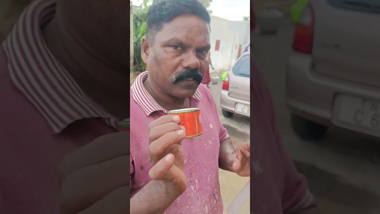 padmashri brush 12no and white paint finish main gate