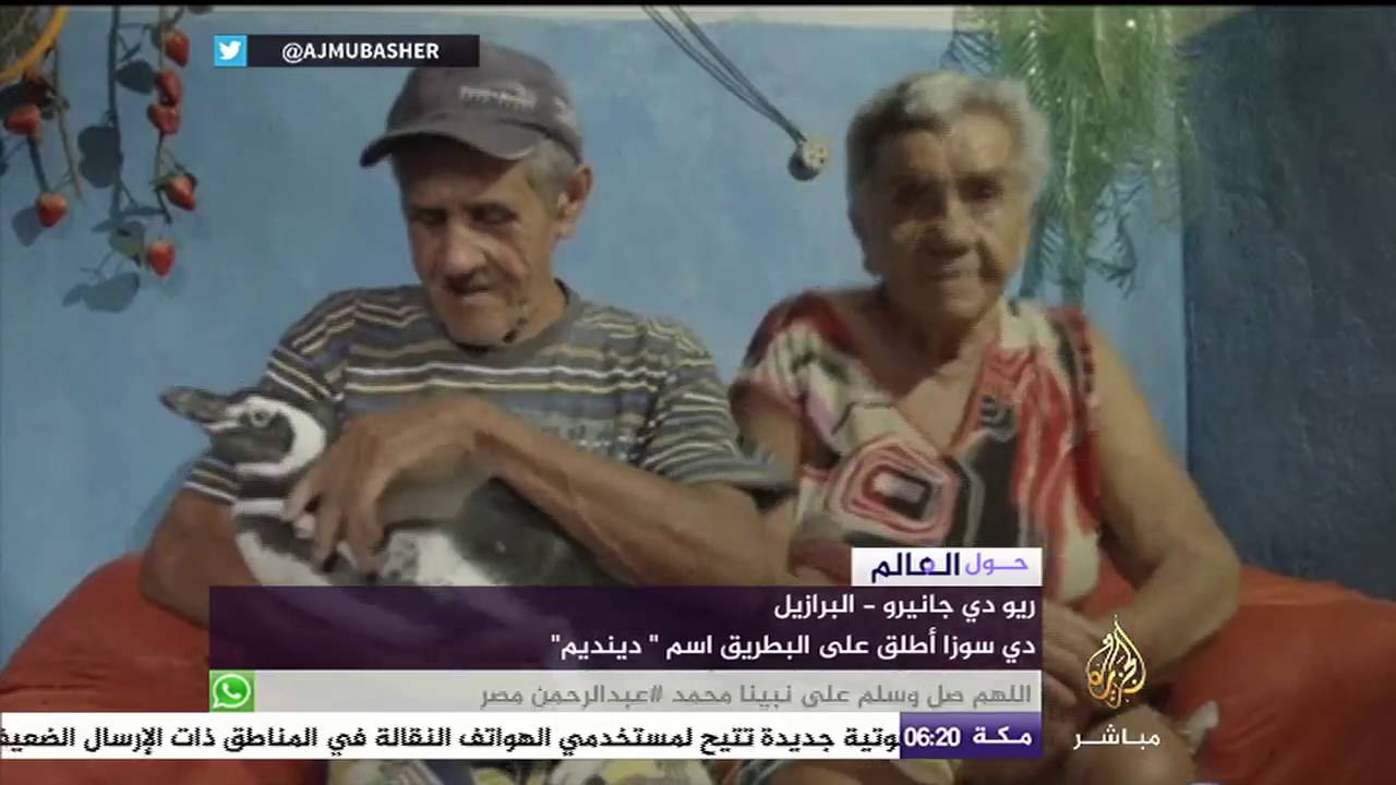 بطريق يزور منقذه كل عام.. تعرف على قصته