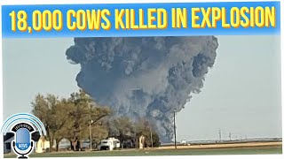 Mysterious Explosion Happened at Texas Dairy Farm Killing 18,000 Cows