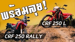 (ทดสอบ) Crf250 rally หรือ Crf 250 L ใครจะลุยกว่ากัน