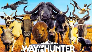 I Hunt Every Animal on Tikamoon Plains | Way of the Hunter