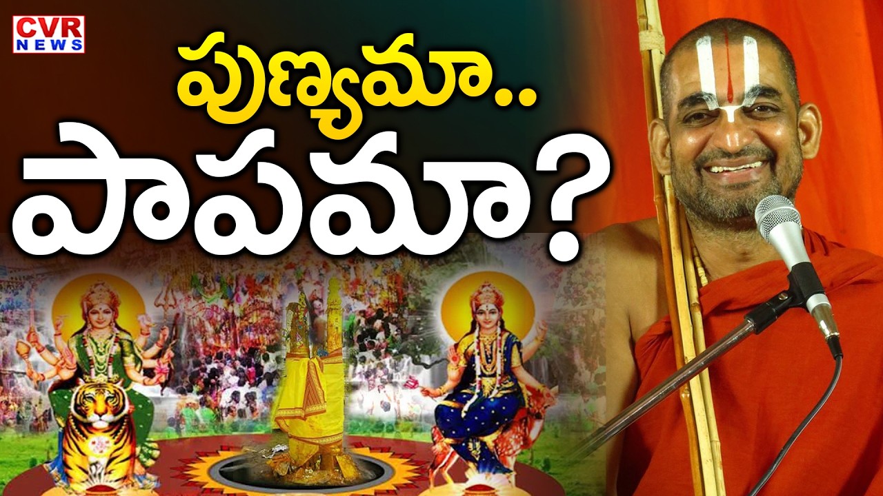 పుణ్యమా.. పాపమా..? | Debate On Chinna Jeeyar Swamy Controversy Issue | CVR News
