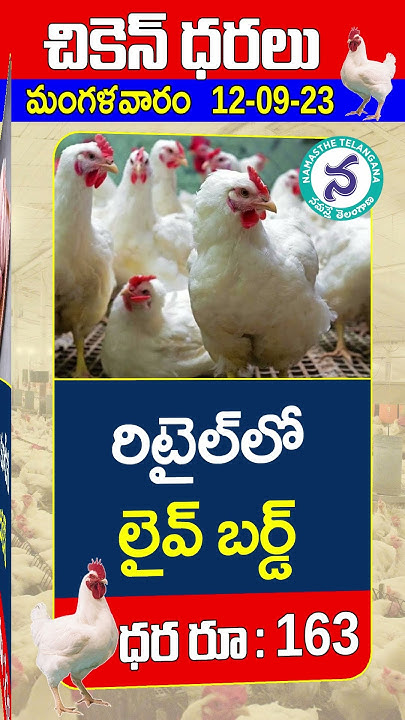 chicken-rate-11-09-2023-chicken-today-price-in-hyderabad-chicken