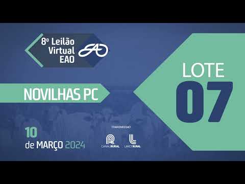 LOTE 07