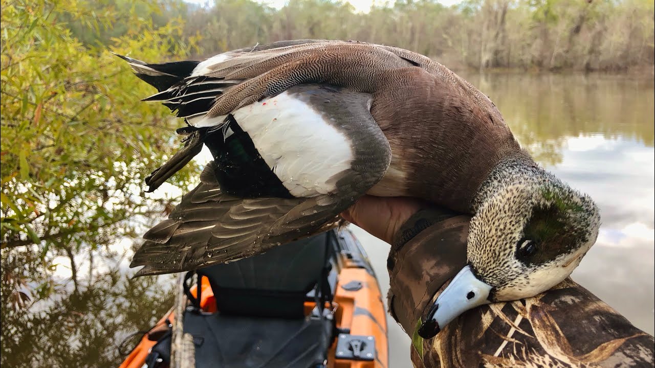 KAYAK DUCK HUNTING and FISHING Catch Clean Cook YouTube