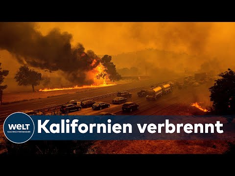 WALDBRÄNDE IN KALIFORNIEN: