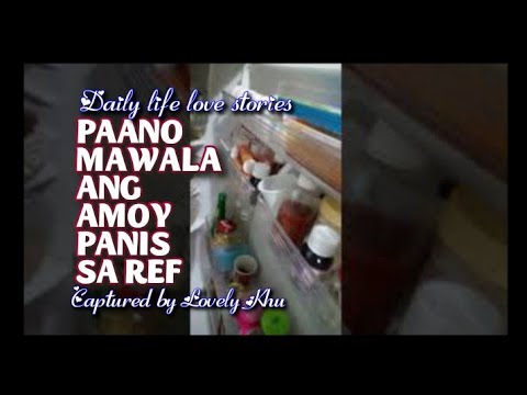 PAANO MAWALA ANG AMOY PANIS SA REF? Daily life love stories | Lovely Khu