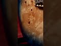 Underrated Guitars Under Under $500: Michael Kelly Burl 60 Ultra Electric Guitar