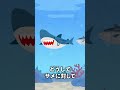 【悲報】サメさん他の魚に舐められていた。