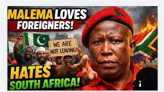 South Africans drag Julius malema for choosing foreigners over south Africa 🇿🇦😱