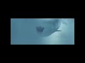 Objectivism as told by a whale