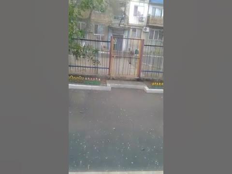 Буршак жауды - YouTube
