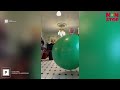 Hysterisk påfunn går viralt