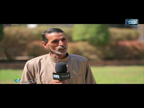 مصطفى إبراهيم حققت انتاجية وصلت إلى 26 أردب قمح من الفدان الواحد