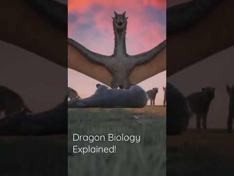 Dragon Biology Explained!
