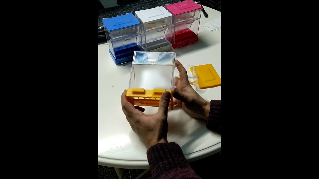 Hanımeli PetStore | Akıllı Yemlik (A++ Kalite) Tanıtımı