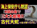 【ゆっくり解説】海上保安庁も黙認!地獄の島で体長30mの大蛇を発見!日本の巨大大蛇は古代生物の生き残りなのか…【古代生物生存】