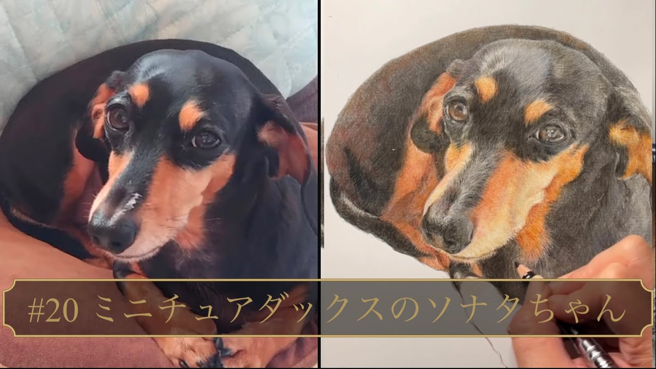 maxresdefault.jpg