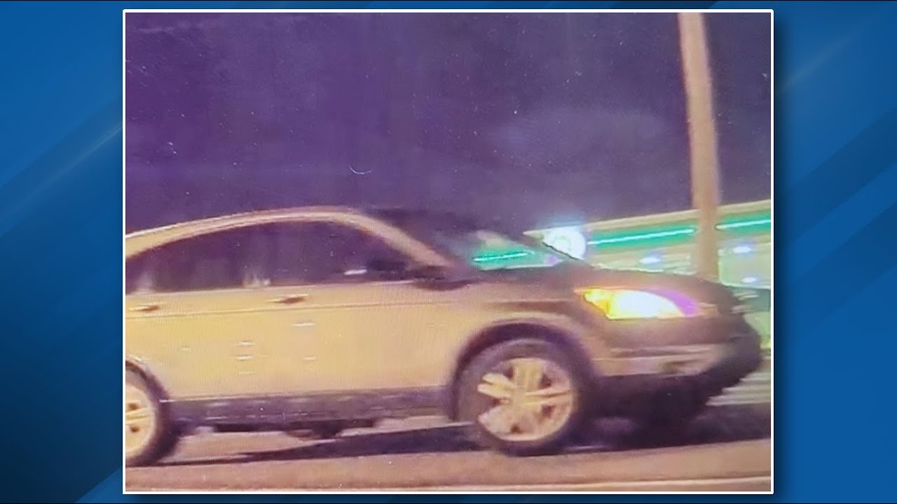 Police searching for suspect after pedestrian was injured in Florence ...