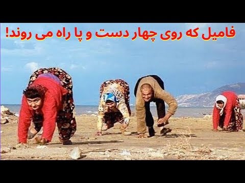 تصویری: چهار دست و پا بودید؟