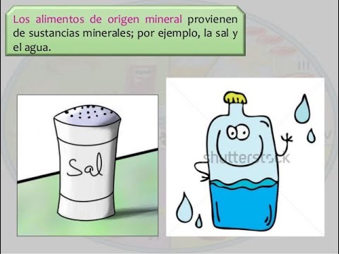 alimentos de origen mineral/ clase virtual - YouTube