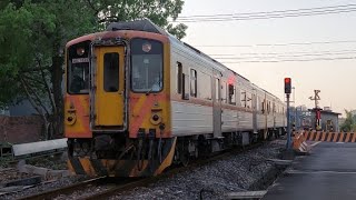 【尼斯丹】臺鐵鐵路管理局 內灣支線 小火車 1826次 區間車 DRC1000型 柴油客車