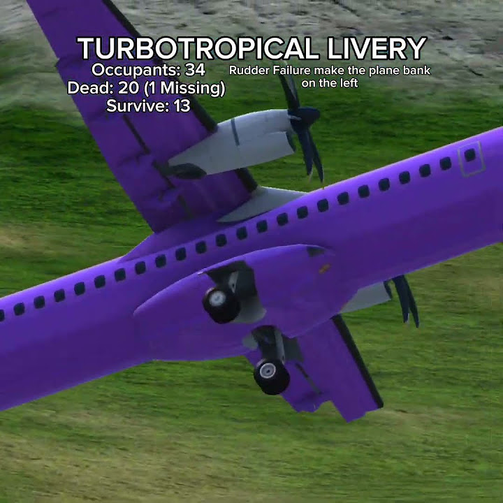 Pluh meme || Part 2 ##pluh #tfshorts #fypシ #turbopropflightsimulator # ...