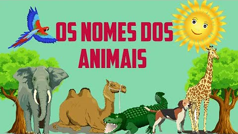 Qual a origem do nome dos animais?