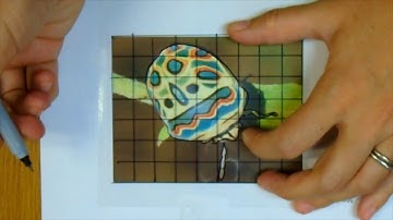 Drawing the Contour Lines on the Grid