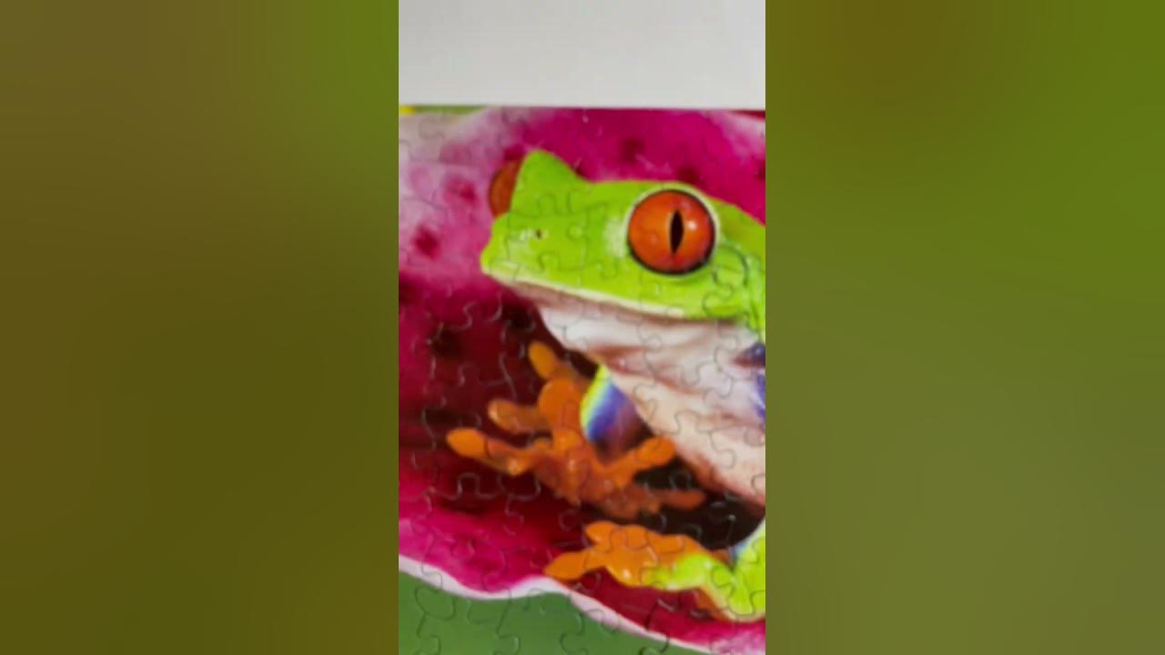 Froggy - YouTube