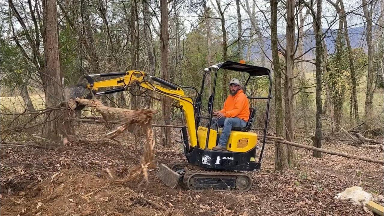 Cabin build beginning an the groundhog digging out tree - YouTube