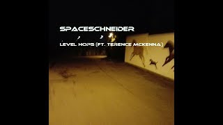 Watch Spaceschneider Level Hops feat Terence Mckenna video